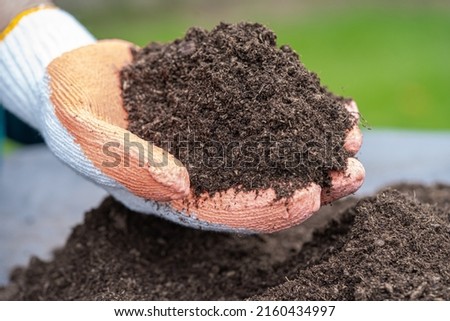 Hand holding peat moss organic matter improve soil for agriculture organic plant growing, ecology concept. Royalty-Free Stock Photo #2160434997