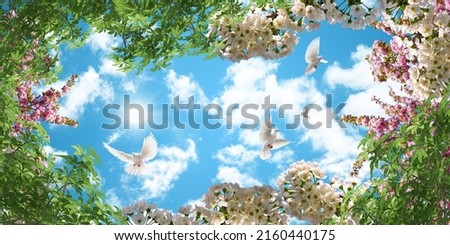 pink white cherry blossoms, tree leaves and sunny sky. bottom up view sky. photo for stretch ceiling decoration