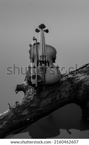 The violin is a stringed instrument that is played by swiping. The violin has four strings (G-D-A-E) that are tuned differently from each other by a fifth perfect interval. The lowest note is G. Among Royalty-Free Stock Photo #2160462607