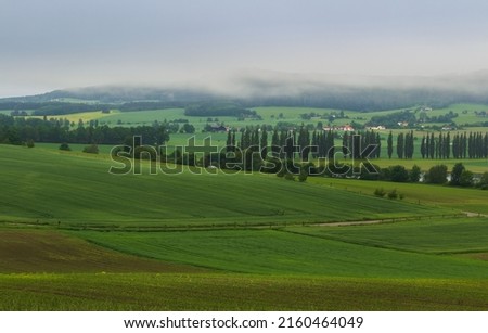Spring overcast Czech landscape with trees, agriculture field and fog after rain
