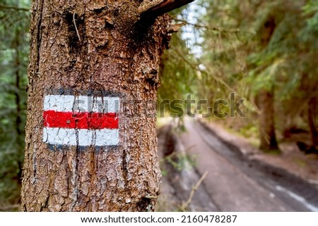 Red hiking trail sign painted on a tree in forest with forest path in the background. Trail blazing in the mountains