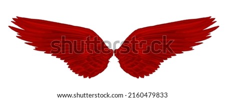red wing isolated on white background.