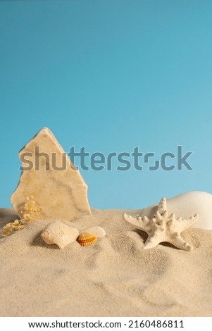 Beach themed background with sea sand, shells and starfish on a light blue backdrop.
Photo shoot in the studio, useful for promoting concepts and products with the sea and beach theme.