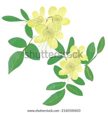 Bright yellow flowers, flowers and leafs beautiful clipart 