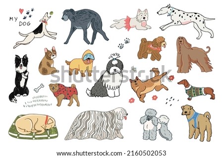 Dogs funny pets illustration set