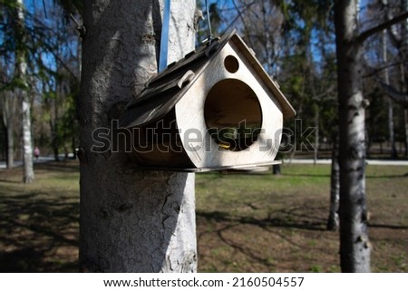 Birdhouse hanging from tree branch with blurred yellow spring flowers and blue sky blurred in background; springtime background with copy space