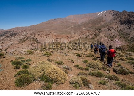 trekking group among thorny bushes, trail to Azib Ikkis via Timaratine, MGoun trek, Atlas mountain range, morocco, africa Royalty-Free Stock Photo #2160504709