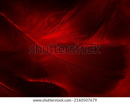 Beautiful abstract red feathers on black background, yellow feather texture on colorful pattern and red background, orange feather wallpaper, love theme, wedding valentines day, red gradient Royalty-Free Stock Photo #2160507679