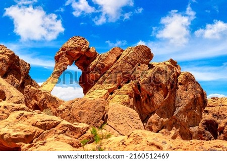 Elephant Rock at Valley of Fire State Park in a sunny day, Nevada, USA