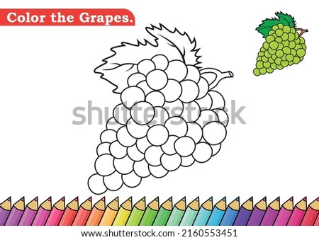 Coloring page for Grapes vector illustration. 
Kindergarten children Coloring pages activity worksheet with cute Grapes cartoon. 
Grapes isolated on white background for color books.