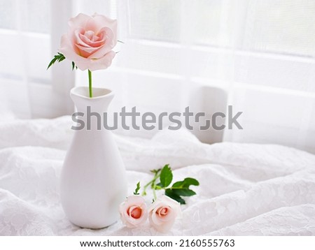 Pink pastel rose flowers in vase on table with embroidered cloth, still life for background or wallpaper, wedding concept ,mother's day ,women's day ,soft color ,romantic lovely card copy space 