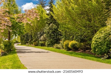Path in the spring park. Walking. Landscape. A footpath walkway in the park, the footpath passes by the bench. Selective focus, nobody, travel photo.