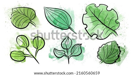 Set of green leaves from trees, a hand-drawn watercolor sketch. Botanical illustration on a white background, green leaves, leaf