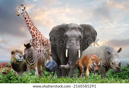 group of wildlife animals in the jungle together  Royalty-Free Stock Photo #2160585291