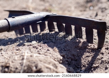Photo of a garden rake on a bed. Old metal rake in the garden. Spring cleaning. Formation of the soil for planting with a rake in the spring, work with a garden tool. Soil preparation for sowing
