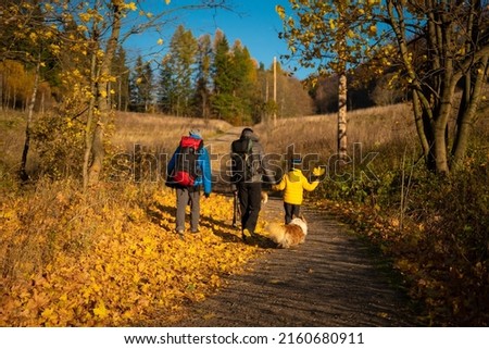The family with backpacks and dogs are walking along the dirt road. Family spending time.