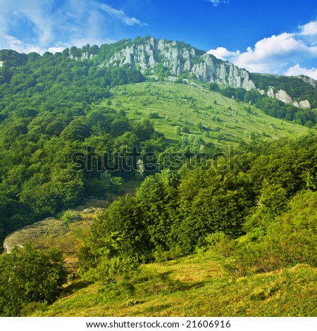 Green hill with blue sky. Summer landscape