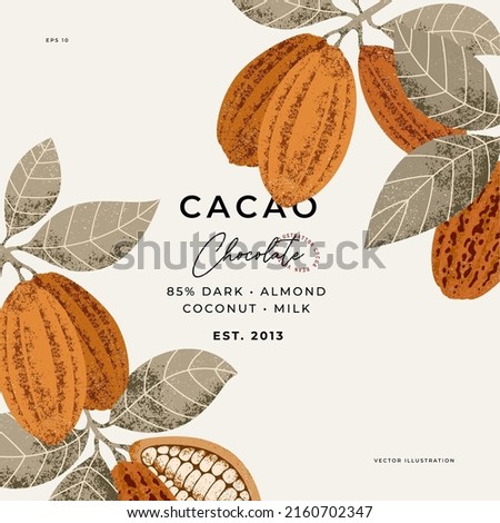 Cocoa bean botanical textured illustration. Vintage style chocolate design template. Chocolate cacao bean Royalty-Free Stock Photo #2160702347