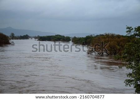Stock photo of Panchganga river flood after heavy rain, trees submerged under flood water.Picture captured during monsoon season, dark clouds on background at Kolhapur, Maharashtra, India.