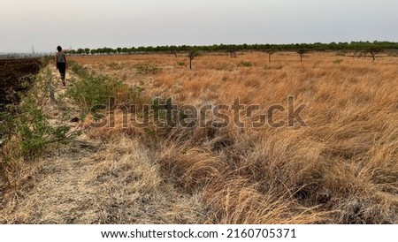 Parched Dry lands fields Indian summer with high temperatures has scorched the earth. Royalty-Free Stock Photo #2160705371