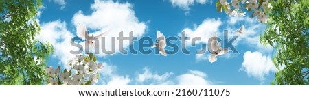 3d ceiling decoration picture. Panoramic blue sky, doves flying and green tree leaves. bottom up view sky.