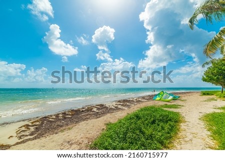 Kite surf in Pointe de la Saline beach in Guadeloupe. Lesser Antilles, Caribbean sea