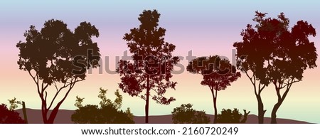 silhouette of many different gum trees with sunset background