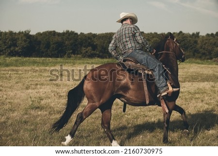 Cowboy riding bay mare for horseback in Texas field of ranch for western lifestyle.