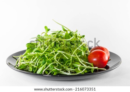 Green young sunflower sprouts and tomato isolated on white background