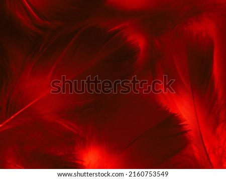 Beautiful abstract red feathers on black background, yellow feather texture on colorful pattern and red background, orange feather wallpaper, love theme, wedding valentines day, red gradient Royalty-Free Stock Photo #2160753549