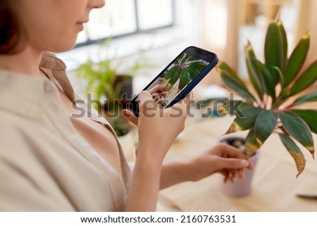 people, gardening and housework concept - happy woman with smartphone photographing pot flowers at home