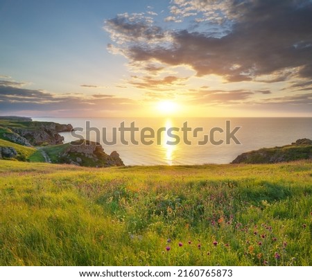 Sundown on the beach. Seascape nature composition. Sky, sea, and green grass. Royalty-Free Stock Photo #2160765873