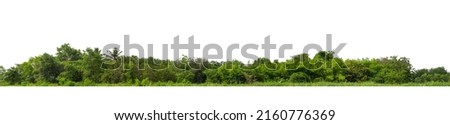 Green Trees isolated on white background.are Forest and foliage in summer for both printing and web pages with cut path and alpha channel Royalty-Free Stock Photo #2160776369