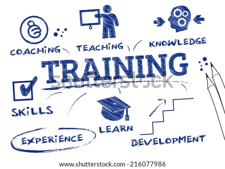 training- chart with keywords and icons Royalty-Free Stock Photo #216077986