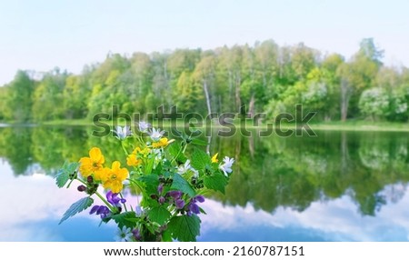 bouquet of wild flowers against blurred natural background of landscape with a river and forest. beautiful harmony peaceful nature floral image. spring, summer season. template for design. copy space