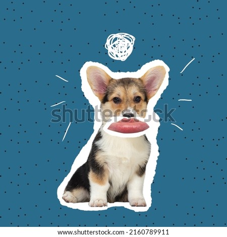 Contemporary art collage. Cute image of Corgi dog with human mouth element isolated over blue background. Looks sad. Concept of modern design, surrealism, fun, creativity, inspiration, emotion