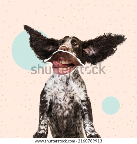 Contemporary art collage. Funny image of dog with human mouth element isolated over peach background. Looks excited. Concept of modern design, surrealism, fun, creativity, inspiration, emotion