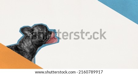 Contemporary art collage. Funny artwork with dog and female lips element isolated over white background. Concept of modern design, surrealism, fun, creativity, inspiration, emotion