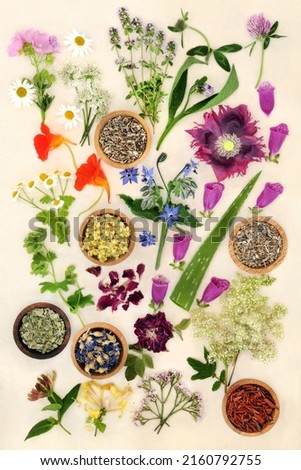Natural healing plant medicine with dried and fresh herbs and flowers. Alternative plant based flower remedy health care concept. Top view, flat lay on cream background.
 Royalty-Free Stock Photo #2160792755