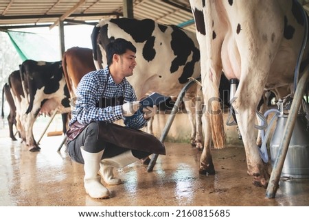 male farmer checking on his livestock and quality of milk in the dairy farm .Agriculture industry, farming and animal husbandry concept ,Cow on dairy farm eating hay,Cowshed. Royalty-Free Stock Photo #2160815685