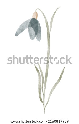 Watercolor trendy flower. Vector illustration for web, app and print. Elegant feminine shape floristic isolated snowdrop flower. Garden, botanical, minimalistic floral element.