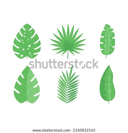 Set of exotic tropical leaves