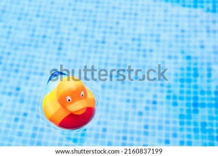 Rubber duck in rainbow color floating in pool, lbgt concept background