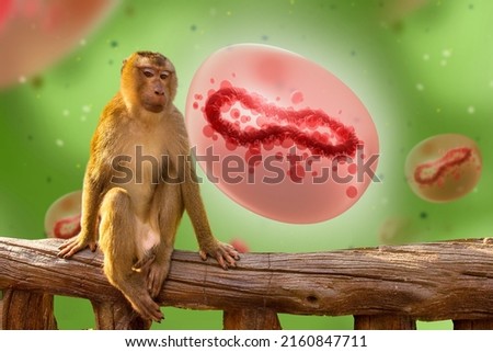 Monkeypox outbreak concept. Monkeypox is a viral zoonotic disease. Monkeypox outbreak, MPXV virus. The spread of the disease from wild animals. The virus flies around the monkey. Royalty-Free Stock Photo #2160847711