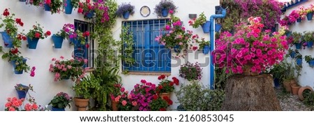 Panoramic view of a patio full of flowers in spring. White walls and doors, windows and plant pots in blue. Cordoba, Spain.