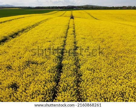 On a field in Goslar in the suburb of Vienenburg am Nordharz in the state of Lower Saxony, a farmer uses a field sprayer to apply crop protection against fungi to flowering rapeseed.