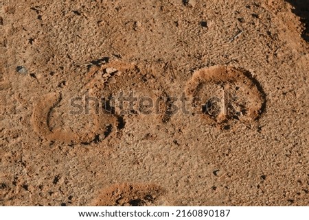 footprints of horse hoof on ground
