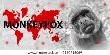 Monkeypox outbreak concept. Monkeypox is a viral zoonotic disease. Monkeypox outbreak, MPXV virus. The spread of the disease from wild animals. The virus flies around the monkey. Royalty-Free Stock Photo #2160916069