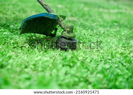 Gardening. Cutting the lawn with cordless grass trimmer, edger, close-up. Royalty-Free Stock Photo #2160921471