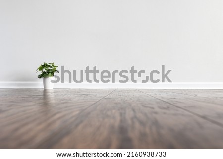 Empty room with laminated floor white wall and baseboard with small potted plant. Can be used as a background for placing virtual furniture and decor.